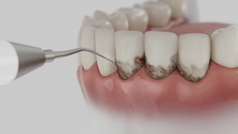 Reliable Dental contractor in Pine Mountain, GA by Dentist Open Now